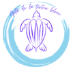 gite de la tortue bleue (1100 x 678 px) fonds blanc taille carrée