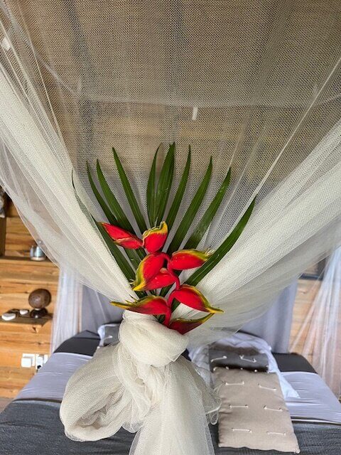 decoration chambre fleur tropicale du jardin