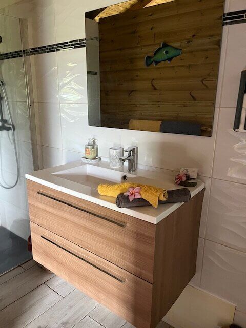 salle de bain chambre caouanne